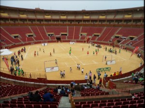 torneo toros